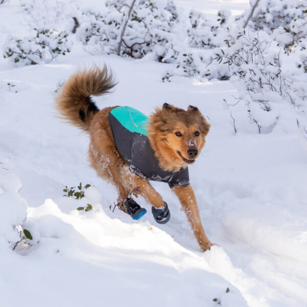 Ruffwear Cloud Chaser Hundejakke Turkis (L)