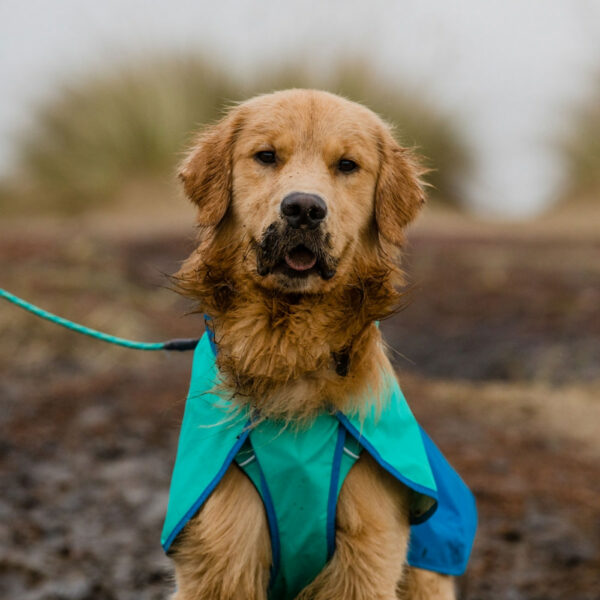 Ruffwear Sun Shower Regnjakke Lyse Blå (S)