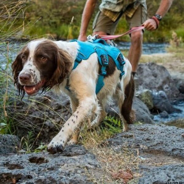 RuffWear Web Master Hundesele Blå (S)