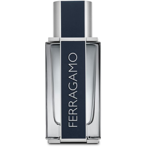 Salvatore Ferragamo Ferragamo Men Eau de Toilette 50 ml