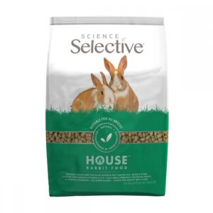 Science Selective House Rabbit 1