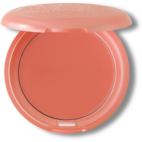 Stila Convertible Color  Lip & Cheek Cream  Gerbera