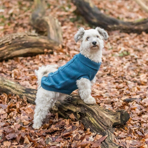 Trixie Kenton Hundegenser Blå (50 cm)