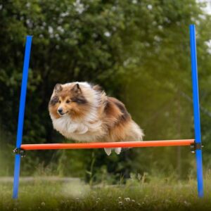 Agility Hinder