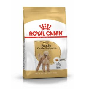 Royal Canin Poodle Adult 1