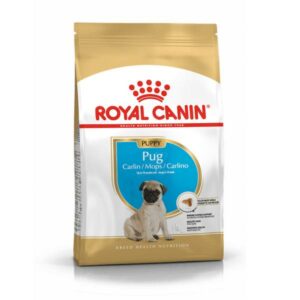 Royal Canin Pug Puppy 1