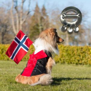 Hanhund Hardanger hundebunad & sølje pakke | 17. Mai festdrakt for hunder