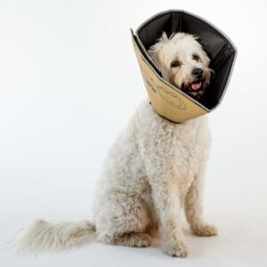 All Four Paws E-hundekrage Comfy Cone S 14 cm lysebrun