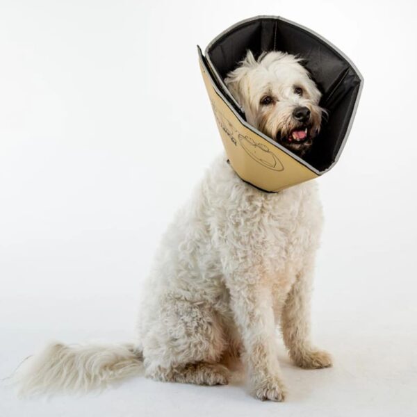 All Four Paws E-hundekrage Comfy Cone L 25 cm lysebrun