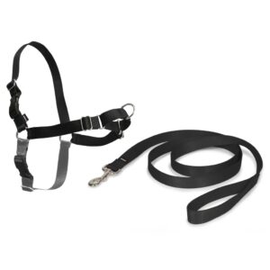 PetSafe Hundesele Easy Walk XL svart