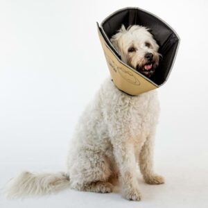 All Four Paws E-hundekrage Comfy Cone XXL 37