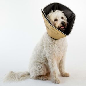 All Four Paws E-hundekrage Comfy Cone S lang 20 cm lysebrun