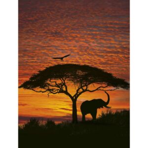 Komar Veggmaleri National Geographic African Sunset 194x270 cm 4-501