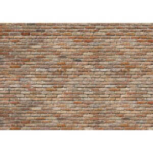 Komar Veggmaleri Exposed Brick Wall 368x254 cm 8-741