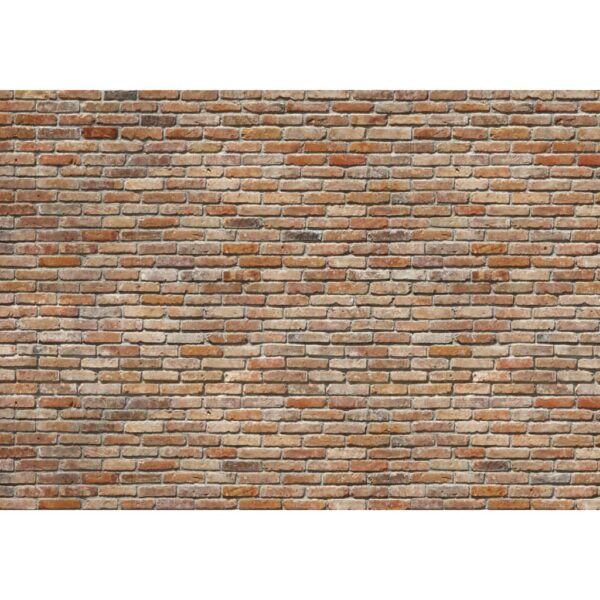 Komar Veggmaleri Exposed Brick Wall 368x254 cm 8-741