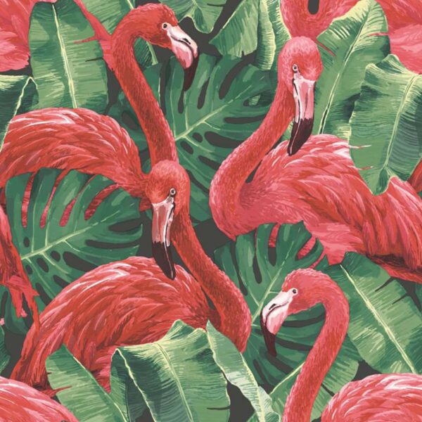 Noordwand Veggtapet Flamingo and Monstera rød