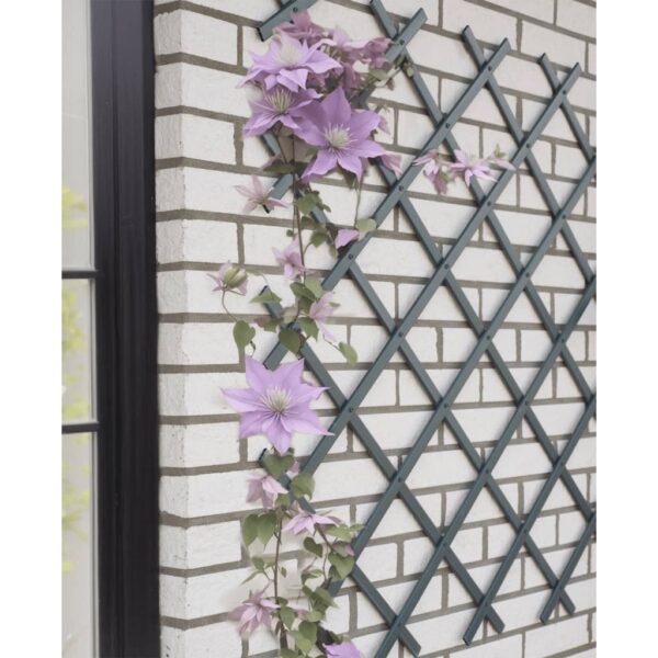 Nature Hageespalier 50x150 cm PVC antrasitt