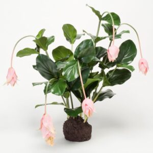 Emerald Kunstig plante Medinilla med blomster 75 cm