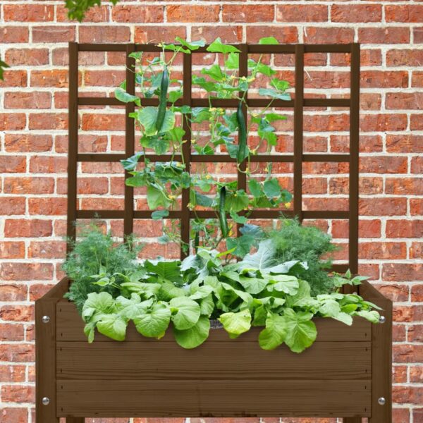 Esschert Design Espalier for høybed brun S