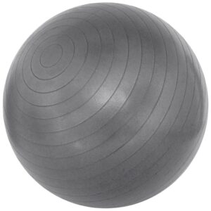 Avento Fitnessball 65 cm sølv 41VM-ZIL