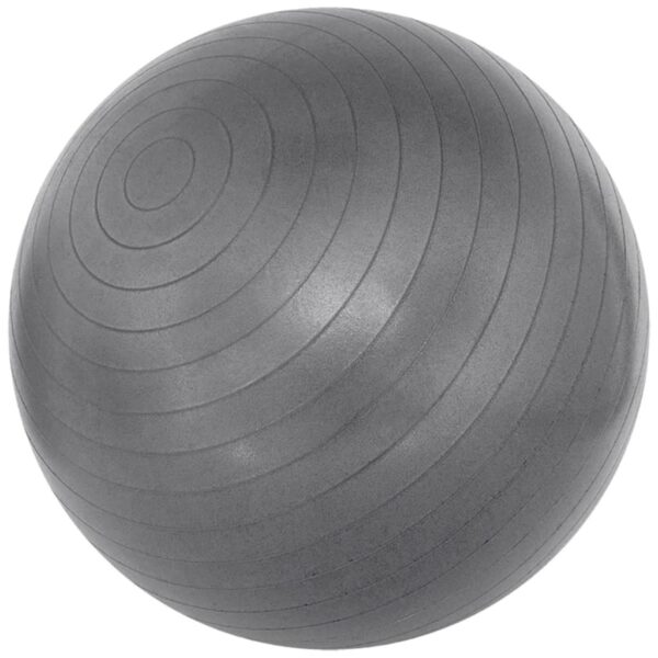 Avento Fitnessball 55 cm sølv 41VL-ZIL