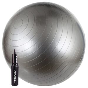 Avento Fitnessball med pumpe 65 cm sølv 41VV-ZIL