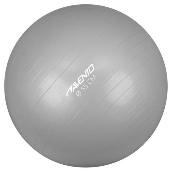 Avento Fitnessball diameter 55 cm sølv