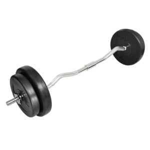 vidaXL Curl-stang med vekter 30 kg