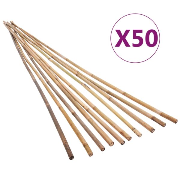 vidaXL Hagebambusstaker 50 stk 170 cm