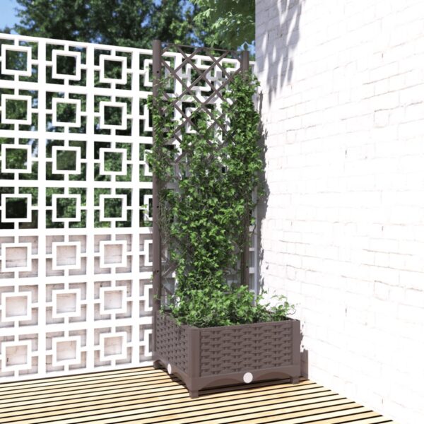 vidaXL Plantekasse med espalier brun 40x40x121