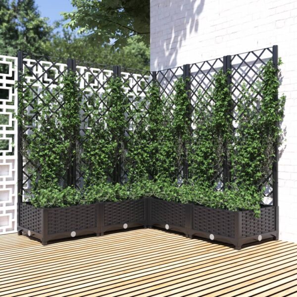 vidaXL Plantekasse med espalier svart 120x120x121