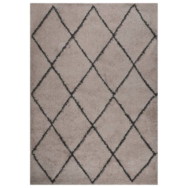 vidaXL Flossteppe med lang luv beige og antrasitt 120x170 cm