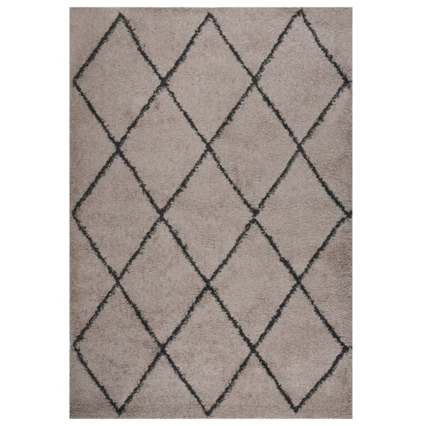 vidaXL Flossteppe med lang luv beige og antrasitt 160x230 cm