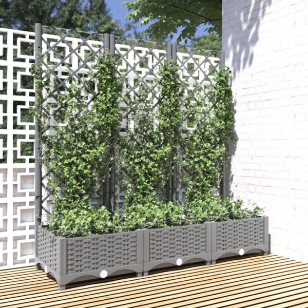 vidaXL Plantekasse med espalier lysegrå 120x40x121