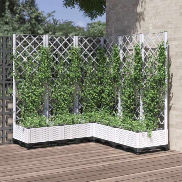 vidaXL Plantekasse med espalier hvit 120x120x121