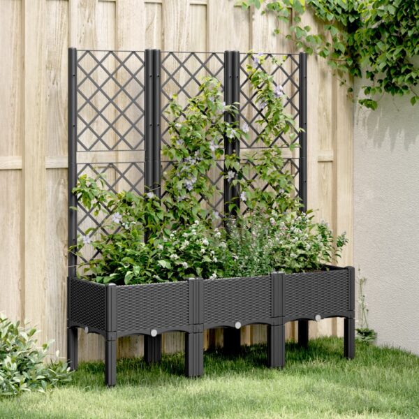 vidaXL Plantekasse med espalier svart 120x40x142 cm PP