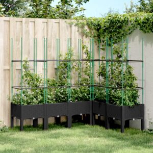 vidaXL Plantekasse med espalier svart 160x120x142